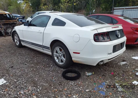 2013 Ford Mustang V6 z USA, uszkodzony, nr VIN 1ZVBP8AM1D5274852